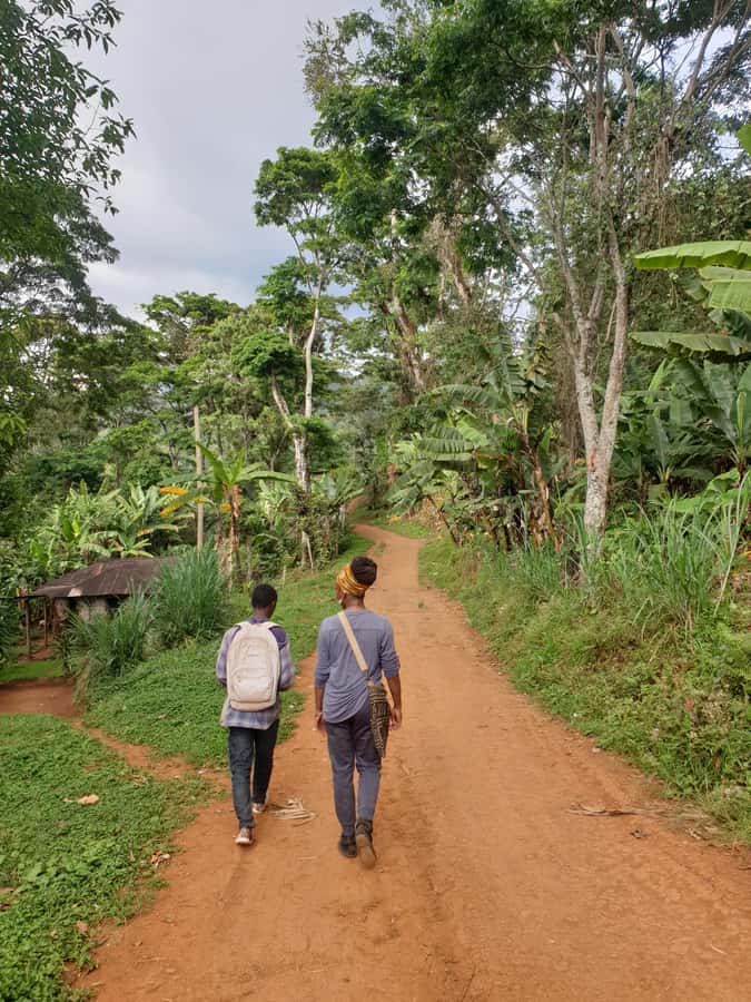 Arusha: Materuni Waterfalls, Hot Springs and/or Coffee Tour - A homemade Tanzanian lunch