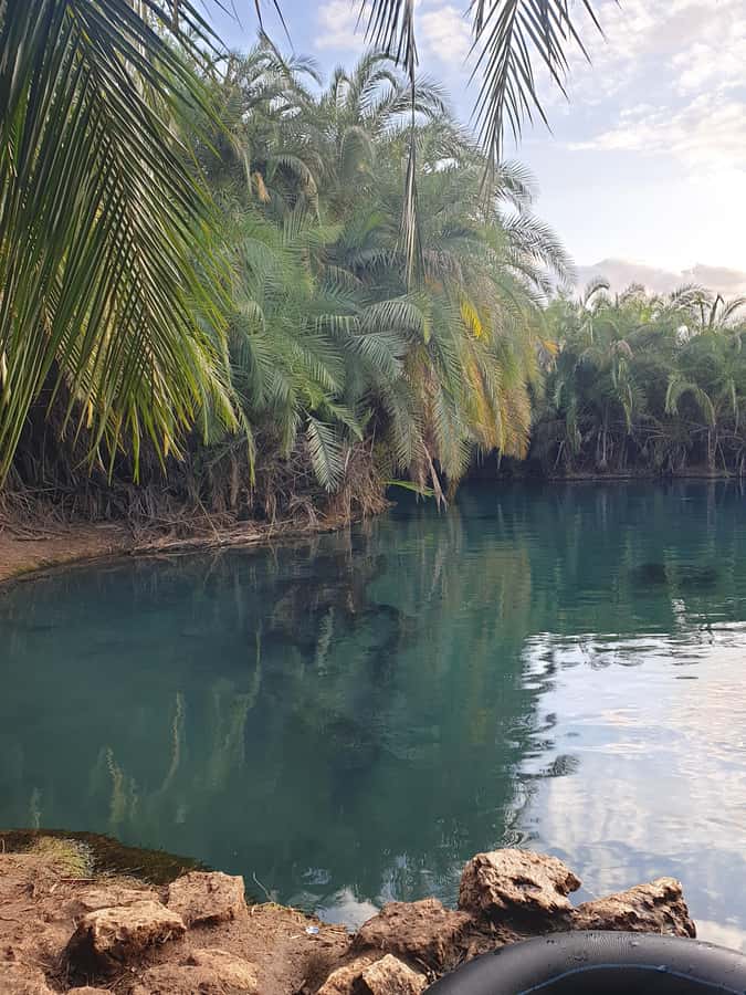 Arusha: Materuni Waterfalls, Hot Springs and/or Coffee Tour - Warm water at Chemka Hot Springs