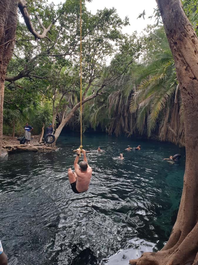 Arusha: Materuni Waterfalls, Hot Springs and/or Coffee Tour - Guides, pace, and the human side of the day