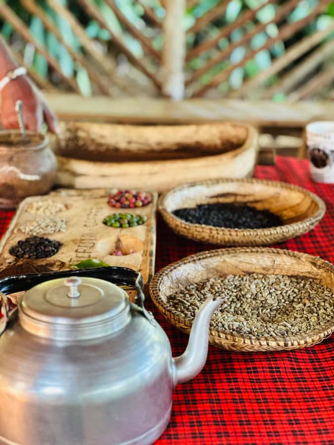 Arusha: Materuni Waterfalls, Hot Springs and/or Coffee Tour - Practical preparation for Materuni and Chemka