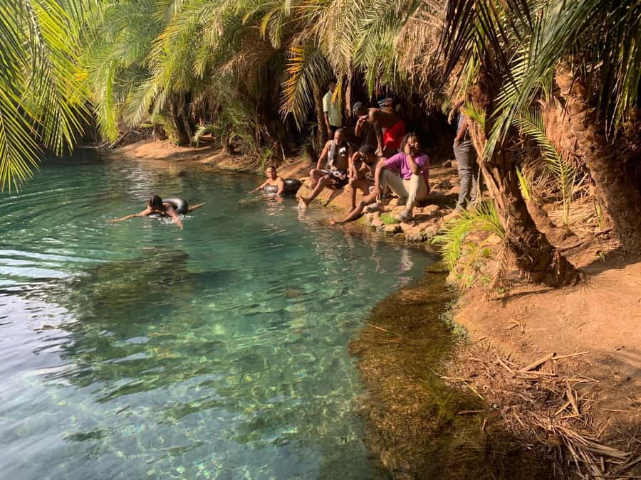 Arusha/Moshi Hot Springs Tour (Chemka) by Kingstone Asilia - Why Kikuletwa Hot Springs makes a good Arusha day trip