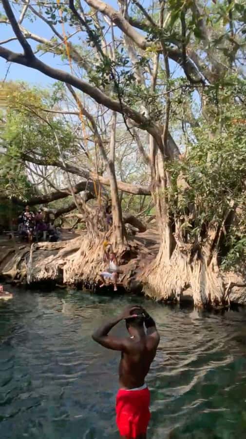 Arusha/Moshi Hot Springs Tour (Chemka) by Kingstone Asilia - How the six-hour schedule works