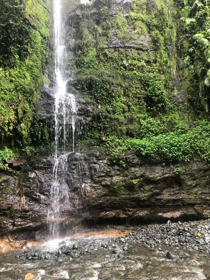 Arusha: Napuru Waterfalls Guided Hike - What the $50 price really covers