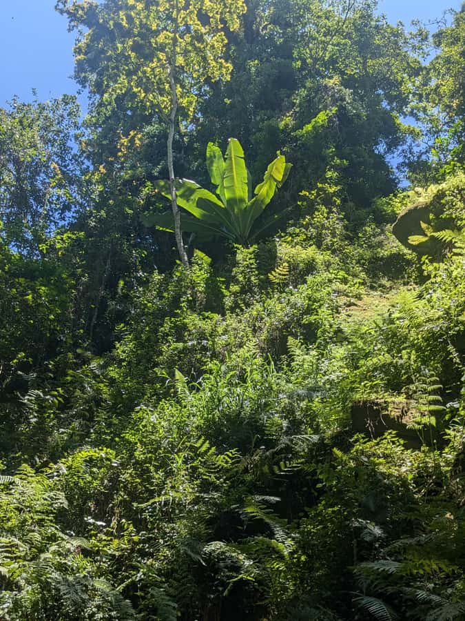 Arusha: Napuru Waterfalls Guided Hike - Small details that make the outing better