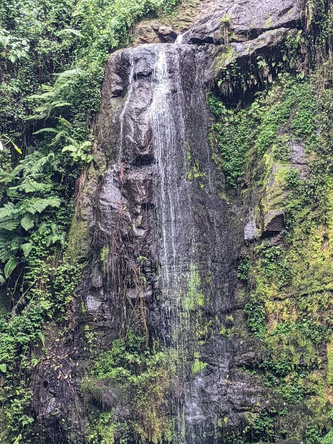 Arusha: Napuru Waterfalls Guided Hike - A three-hour walk with changing scenery