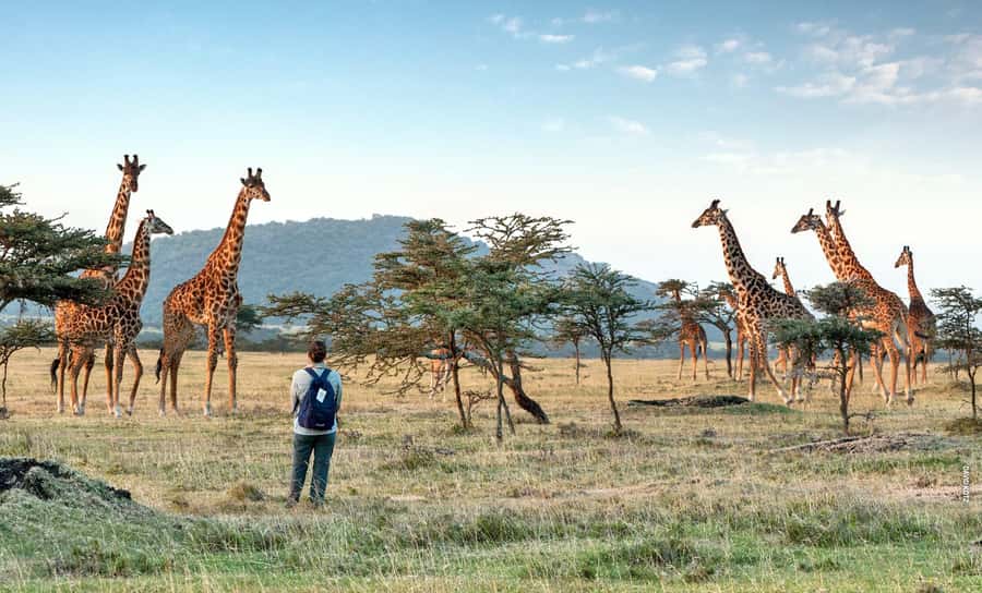 Arusha National Park Day Tour with All-Inclusive - Why Arusha National Park makes a strong one-day safari