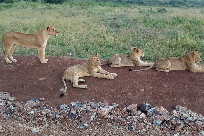 Arusha National Park Half Day Tour - Why Arusha National Park works for a short safari