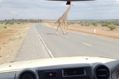 Arusha National Park Half Day Tour