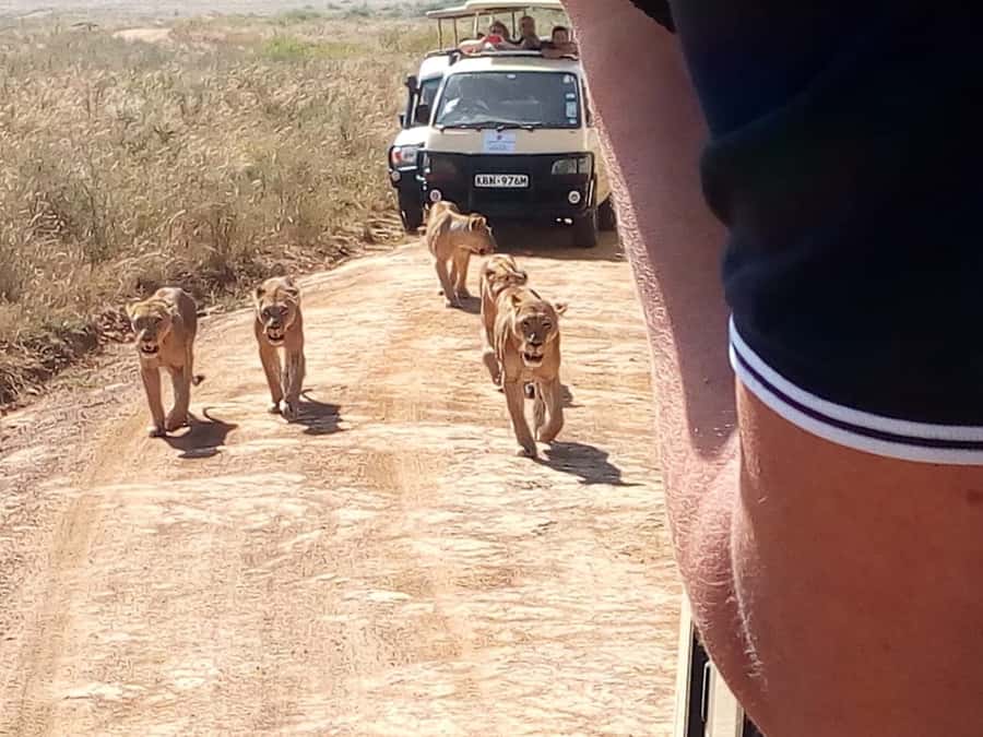 Arusha National Park: Private Jeep Tour - Key points at a glance