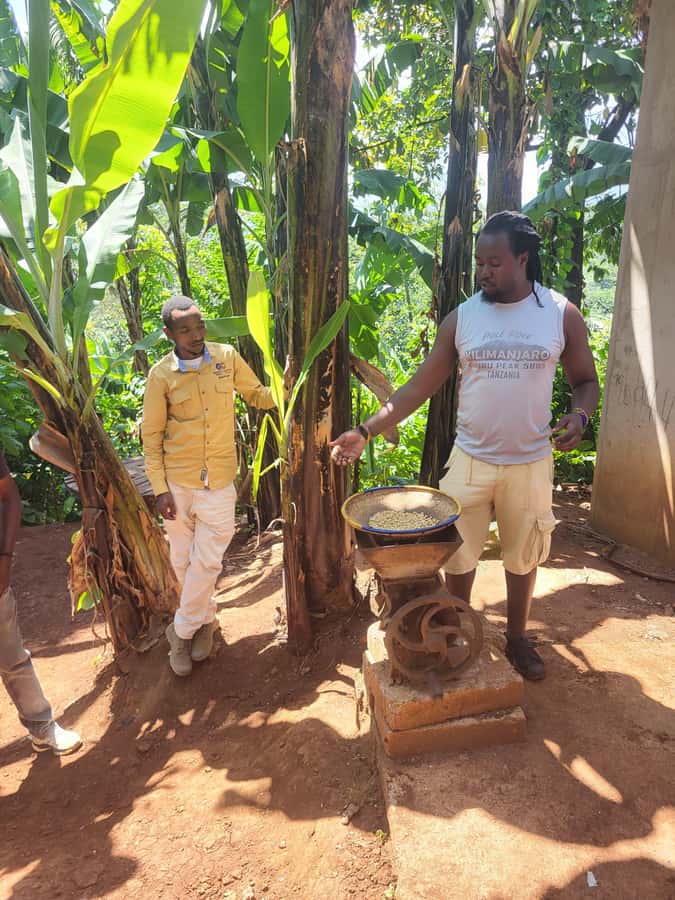 Arusha or Moshi : Hot Spring, Waterfall & Coffee Farm Tour - Chemka Hot Springs and a very clear swimming hole
