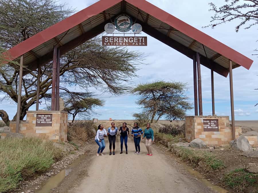 Arusha: Serengeti and Ngorongoro Multi-Day Camping Safari - Day 2: A full day across the Serengeti