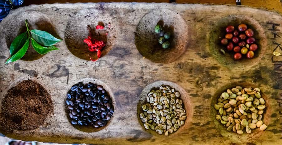 Arusha: Traditional Coffee Preparation(coffee tour) - Grinding and brewing your own cup