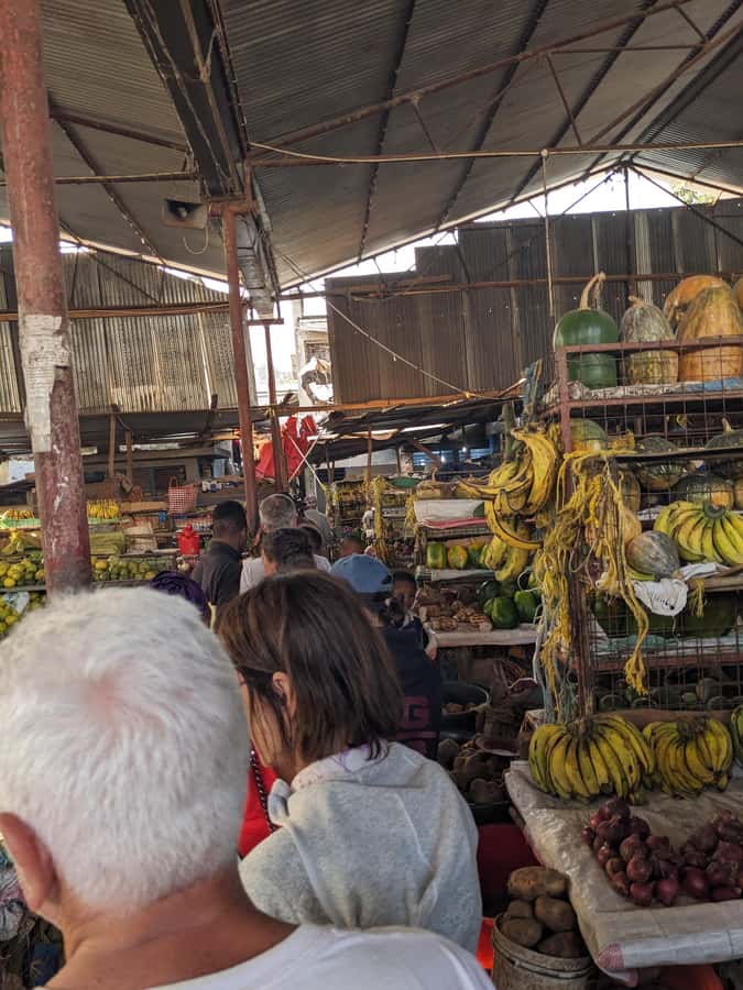 Arusha; Walking City Tour History, Culture & Lifestyle - Key points at a glance