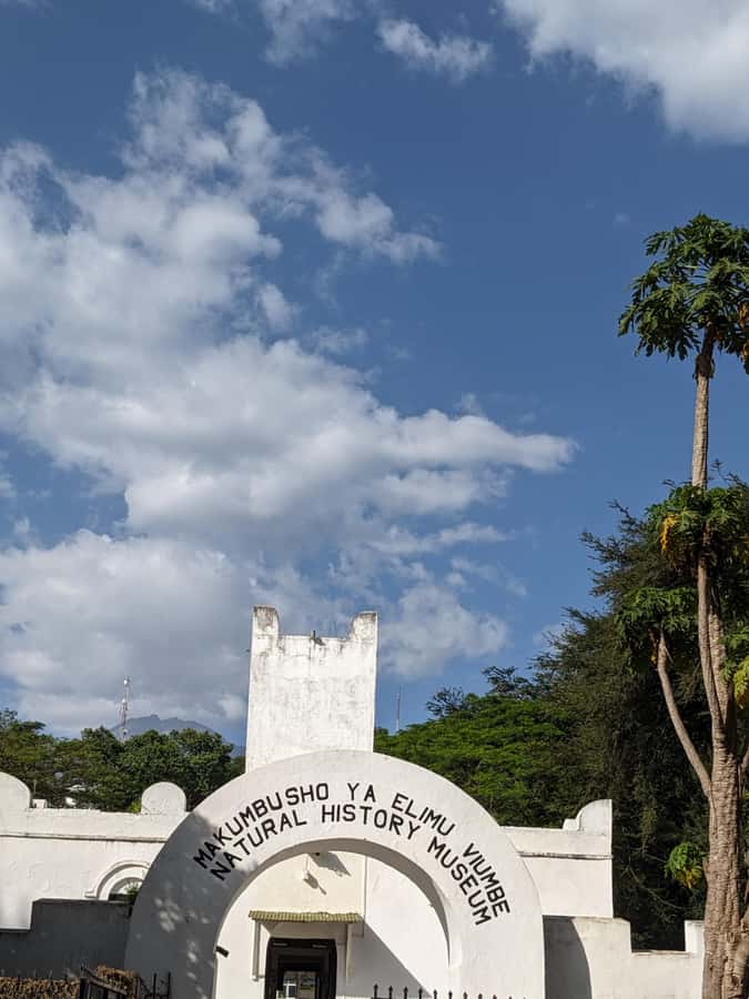 Arusha; Walking City Tour History, Culture & Lifestyle - Tanzanite, shopping, and the value of a guide