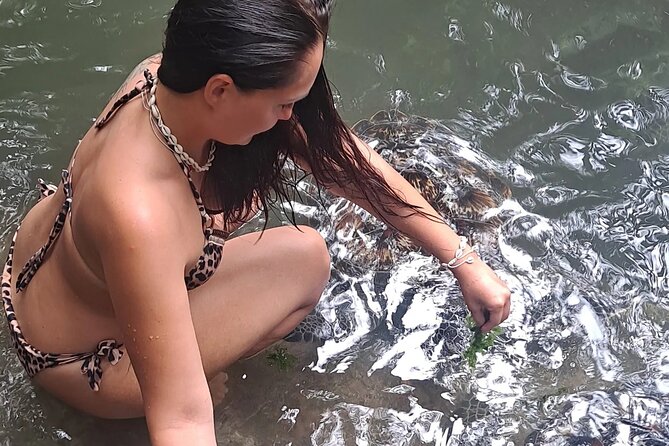 Baraka Aquarium and Dolphin Sightseeing with Sunset Cruise - Key points to know before booking