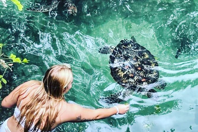Baraka Aquarium and Dolphin Sightseeing with Sunset Cruise - Three Zanzibar experiences tied into one day