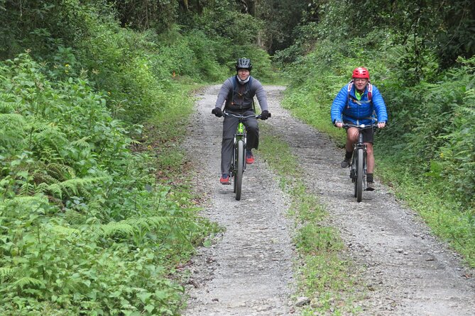 Best 5 Days Kilimanjaro Bike Trek Tour via Marangu Kilema Route - Day 5: Return through alpine zone and rainforest