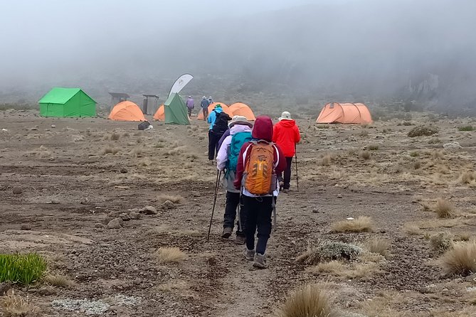 Best Kilimanjaro Adventure 7 days Machame route Trekking - Day one: Machame Gate and the tropical forest