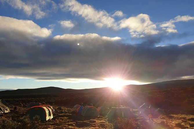 Best Kilimanjaro Adventure 7 days Machame route Trekking - Day three: Lava Tower and the Great Barranco Wall