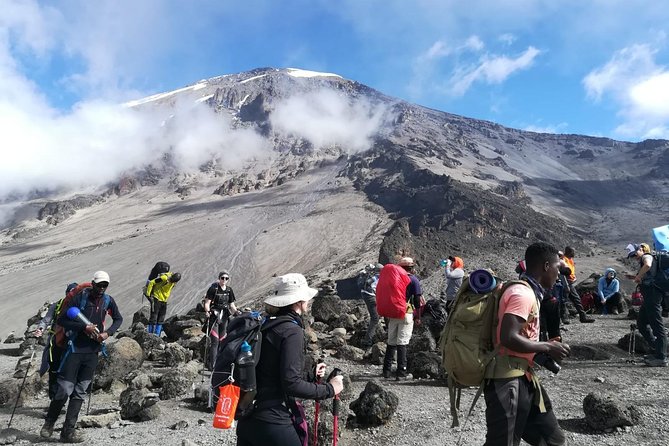 Best Kilimanjaro Adventure 7 days Machame route Trekking - Day two: Machame Camp to Shira Camp