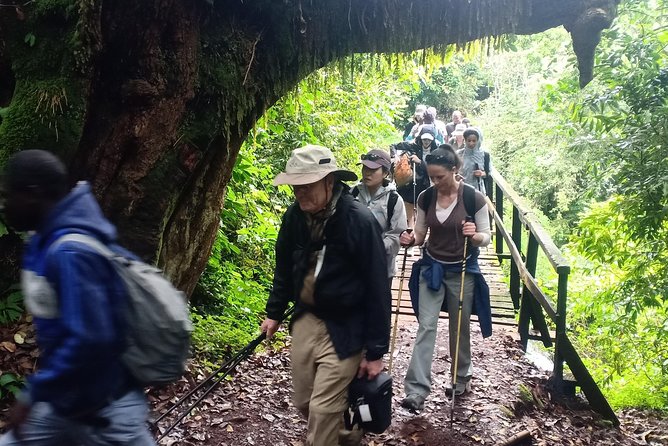 Best Kilimanjaro Adventures 6 Days Marangu Route Experience - Key points before you book