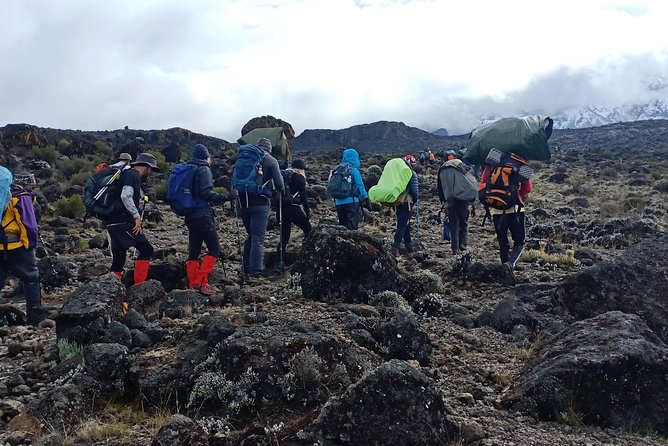 Best Kilimanjaro Adventures 6 Days Marangu Route Experience - Day 3: Horombo to Mawenzi Hut and back