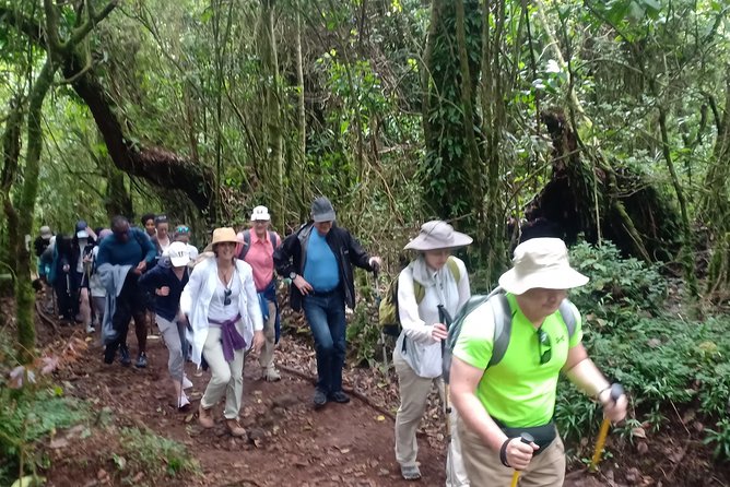 Best Kilimanjaro Adventures 6 Days Marangu Route Experience - Day 4: Horombo to Kibo Hut across the Saddle