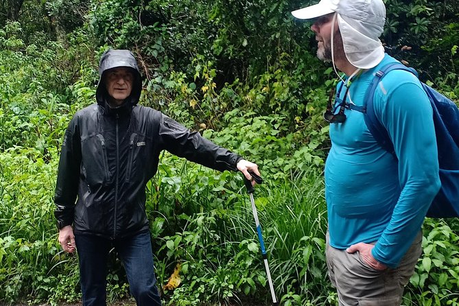 Best Kilimanjaro Adventures 6 Days Marangu Route Experience - Day 5: Gillman’s Point and Uhuru Peak