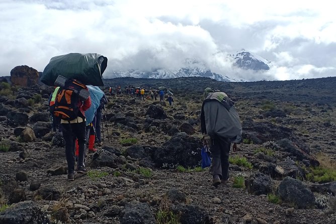 Best Kilimanjaro Adventures 6 Days Marangu Route Experience - Day 6: Horombo Hut to Marangu Gate