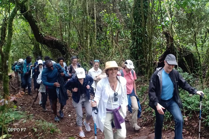 Best Kilimanjaro Adventures 6 Days Marangu Route Experience - Food, huts, porters, and what the $1,000 covers