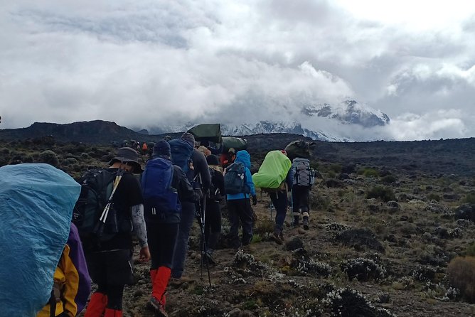 Best Kilimanjaro Adventures 6 Days Marangu Route Experience - Day 1: Marangu Gate to Mandara Hut