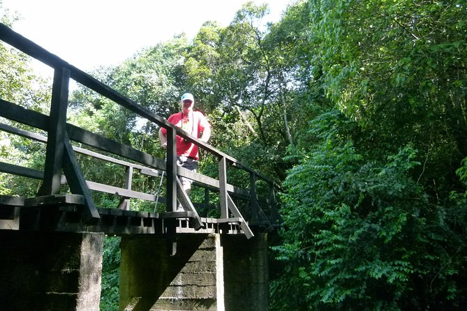 Best Kilimanjaro hiking day trip tour with Kilinge Adventures - Key points at a glance