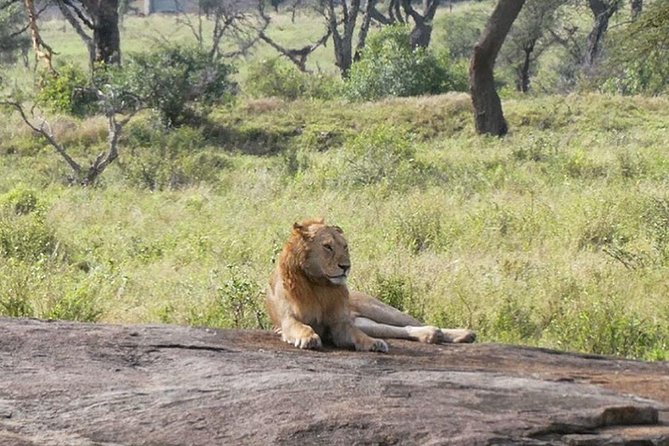 Best Ngorongoro crater Tanzania Safari 1- Day tour Experience - Who Should Book This Day Trip?
