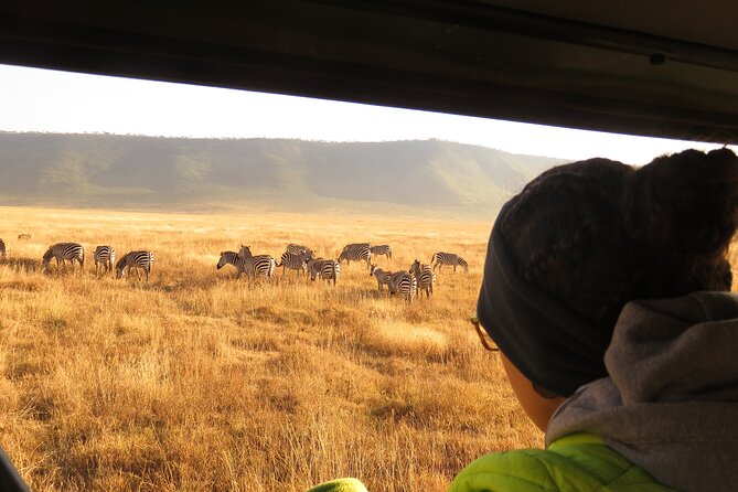 Best Of Six Days Safari Camping safari - Day 2: Elephants and baobabs in Tarangire