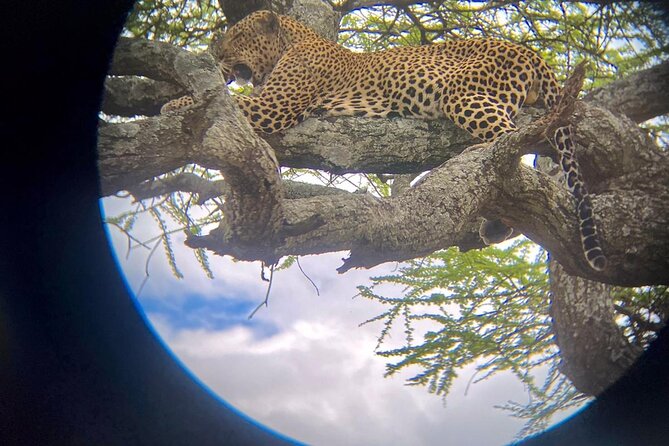 Best of Tanzania 5days 4nights safari - Day 2: the long road into the Serengeti