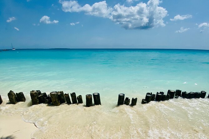 Best Safari and Zanzibar 10-Days Excursions - Day 6 is the trip’s toughest logistical stretch