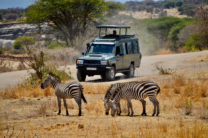 Best Safari and Zanzibar 10-Days Excursions - Zanzibar changes the pace completely