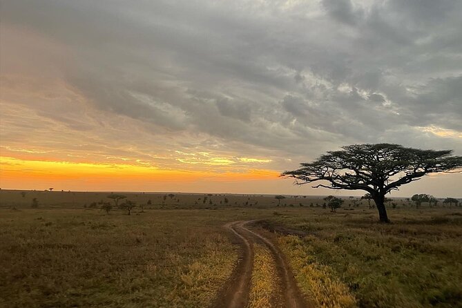 Big Five Dream Safari - Walking and camping make the safari feel less polished