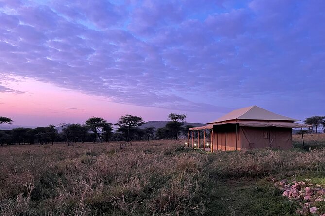 Big Five Dream Safari - Tarangire begins with elephants and a slower rhythm