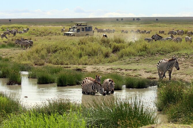 Big Five Luxury 7 Days Safari Tour in Arusha - Day 2: Tarangire and its elephant country