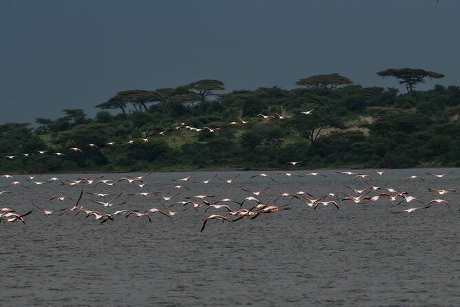 Big Five Safari In Tanzania - Day 7: Karatu to Arusha or Kilimanjaro Airport