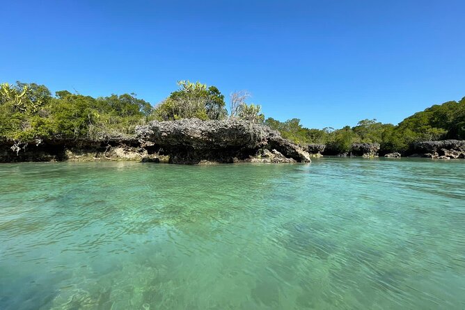 Blue Safari Tour - Key points at a glance
