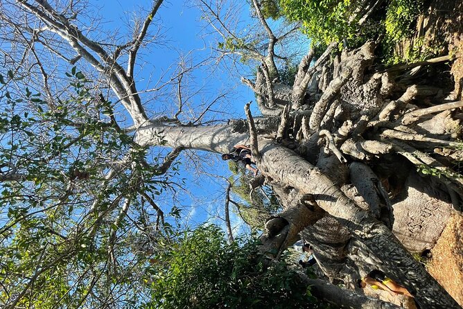 Blue Safari Tour - A full day on Zanzibar’s southwest coast