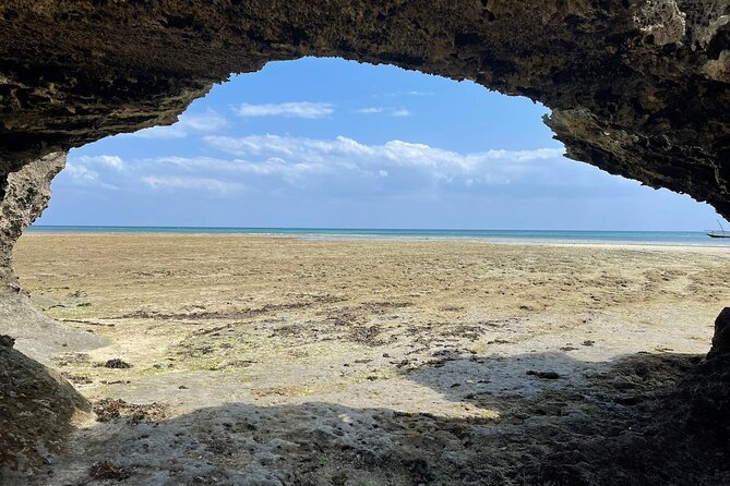 Blue Safari Tour - Seafood lunch on Kwale Island