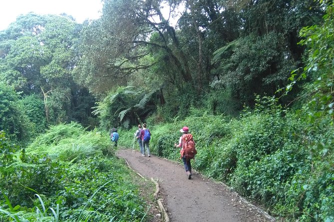 Book Day Hike at Rau Forest Reserve, Near Moshi Town in Tanzania - Why Rau Forest Makes a Good Moshi Break