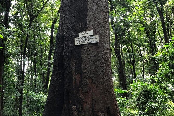Book Day Hike at Rau Forest Reserve, Near Moshi Town in Tanzania - What the $39.47 Price Really Covers