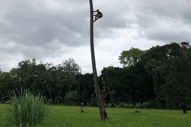 Book Day Hike at Rau Forest Reserve, Near Moshi Town in Tanzania - Who Will Get the Most From This Walk