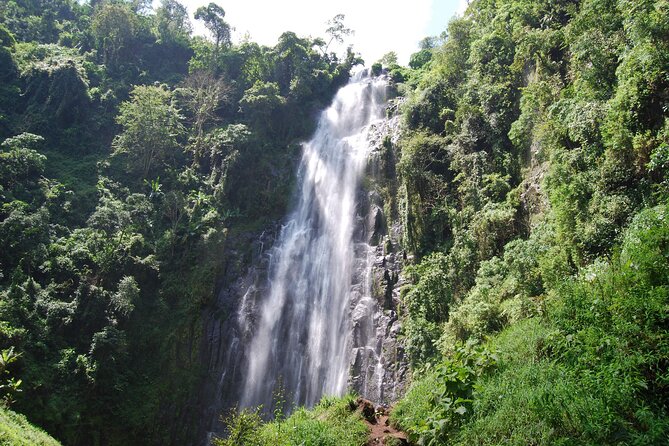 Budge Kikuletwa ( chemka ) hot spring tour from Arusha - Arriving at the warm spring