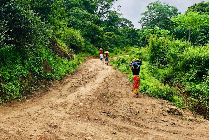 Chagga Villages in Mount Kilimanjaro Cycling Day Trip - The climb toward Kibosho