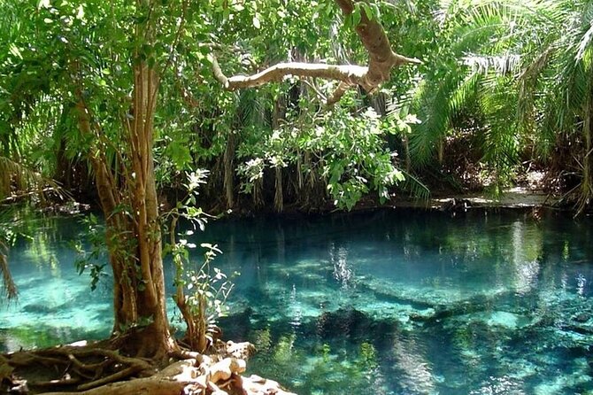 Chemka Hot Springs Day Trip - Should you book the Chemka Hot Springs day trip?